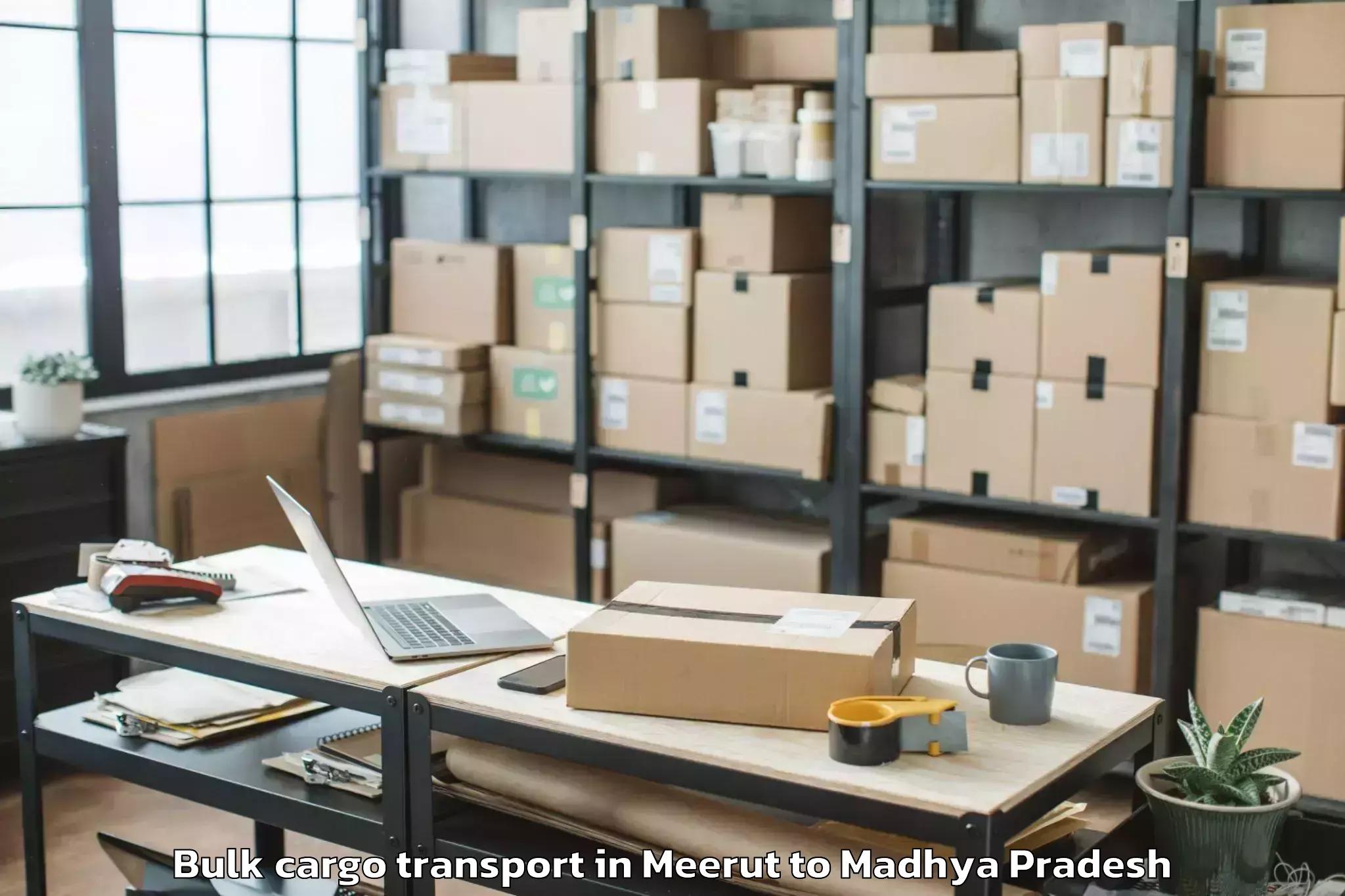 Top Meerut to Pachore Bulk Cargo Transport Available